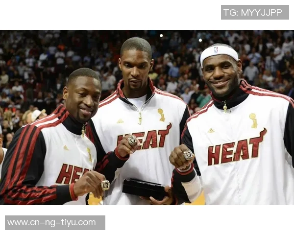 富保罗直言热火三巨头不成立波什未达特权级别引发热议